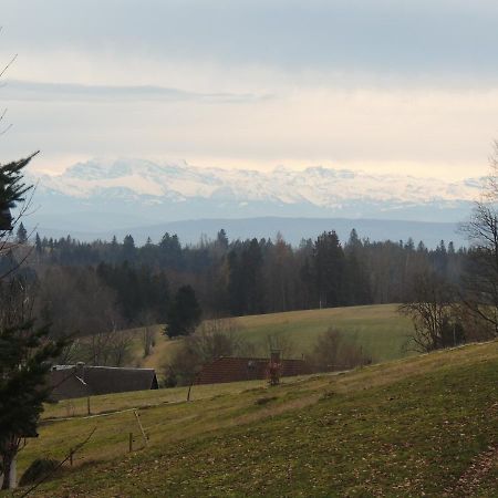Dachsberg im SchwarzwaldHaus Ingeborg公寓 外观 照片