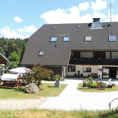 Dachsberg im SchwarzwaldHaus Ingeborg公寓 外观 照片