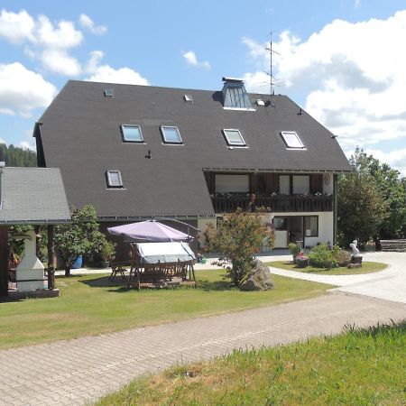 Dachsberg im SchwarzwaldHaus Ingeborg公寓 外观 照片