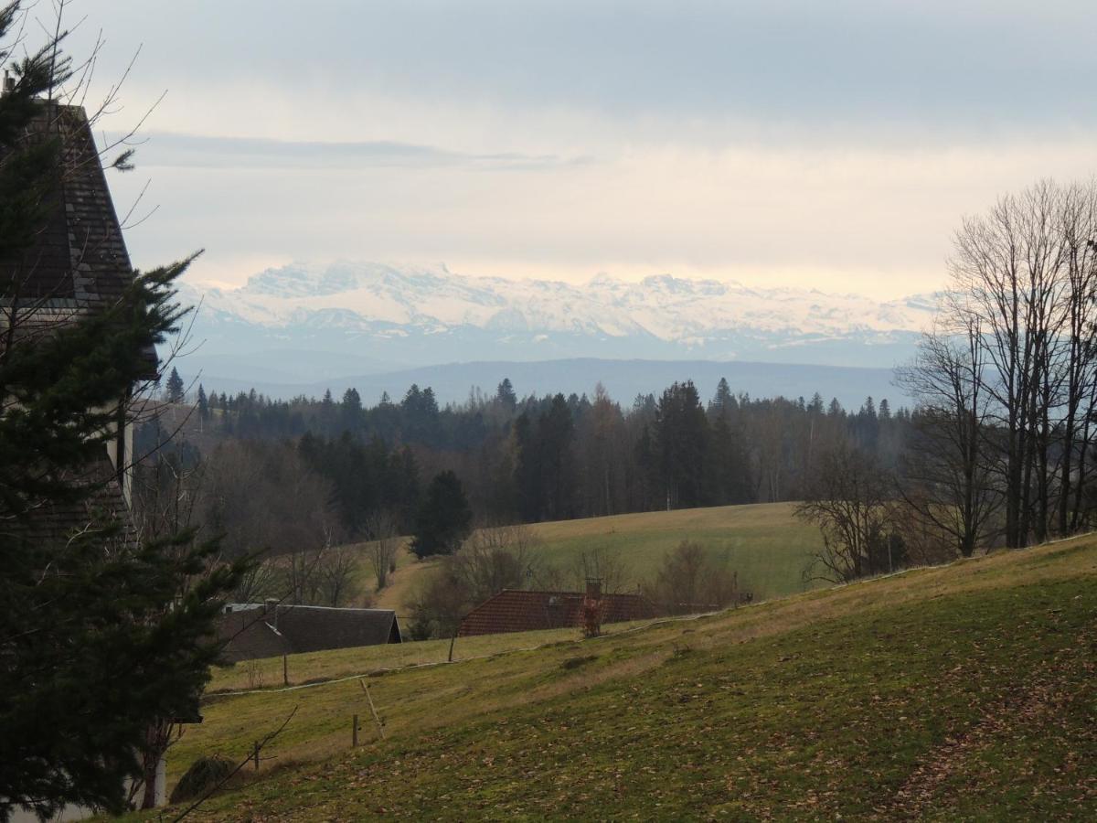 Dachsberg im SchwarzwaldHaus Ingeborg公寓 外观 照片