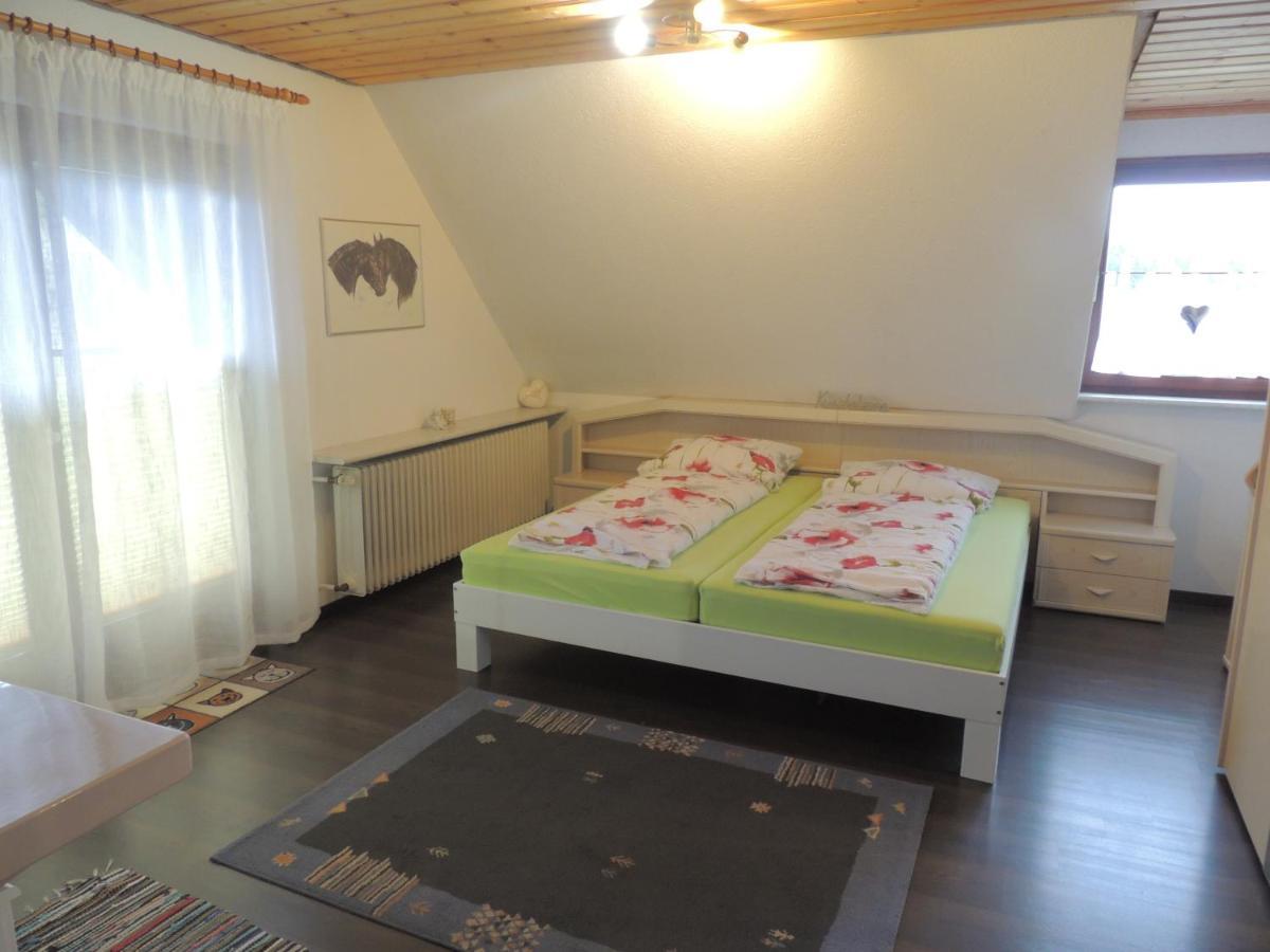 Dachsberg im SchwarzwaldHaus Ingeborg公寓 外观 照片