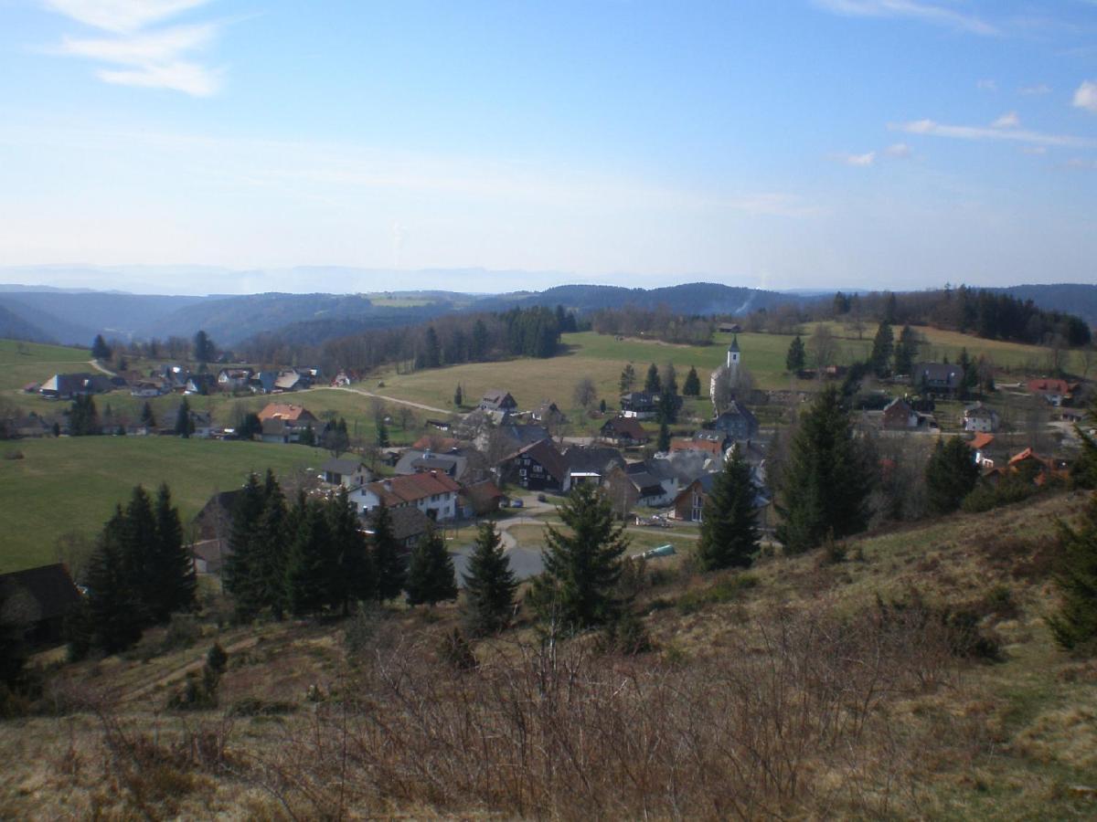 Dachsberg im SchwarzwaldHaus Ingeborg公寓 外观 照片