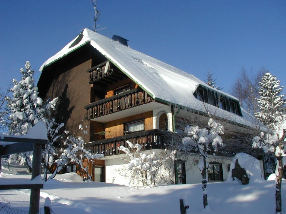 Dachsberg im SchwarzwaldHaus Ingeborg公寓 外观 照片