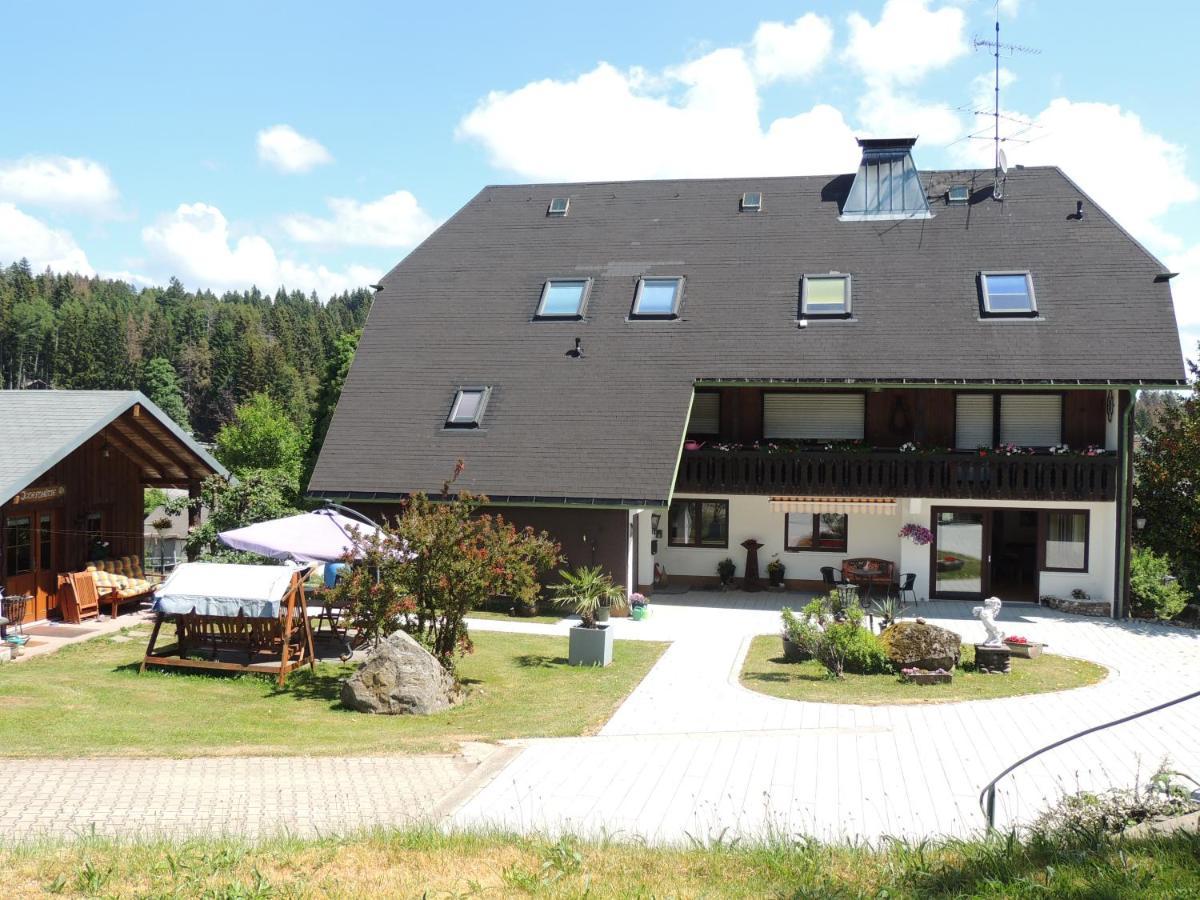 Dachsberg im SchwarzwaldHaus Ingeborg公寓 外观 照片