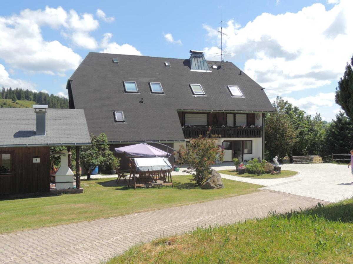Dachsberg im SchwarzwaldHaus Ingeborg公寓 外观 照片