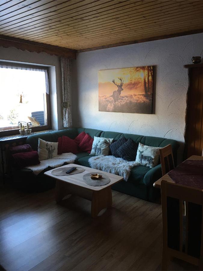 Dachsberg im SchwarzwaldHaus Ingeborg公寓 外观 照片