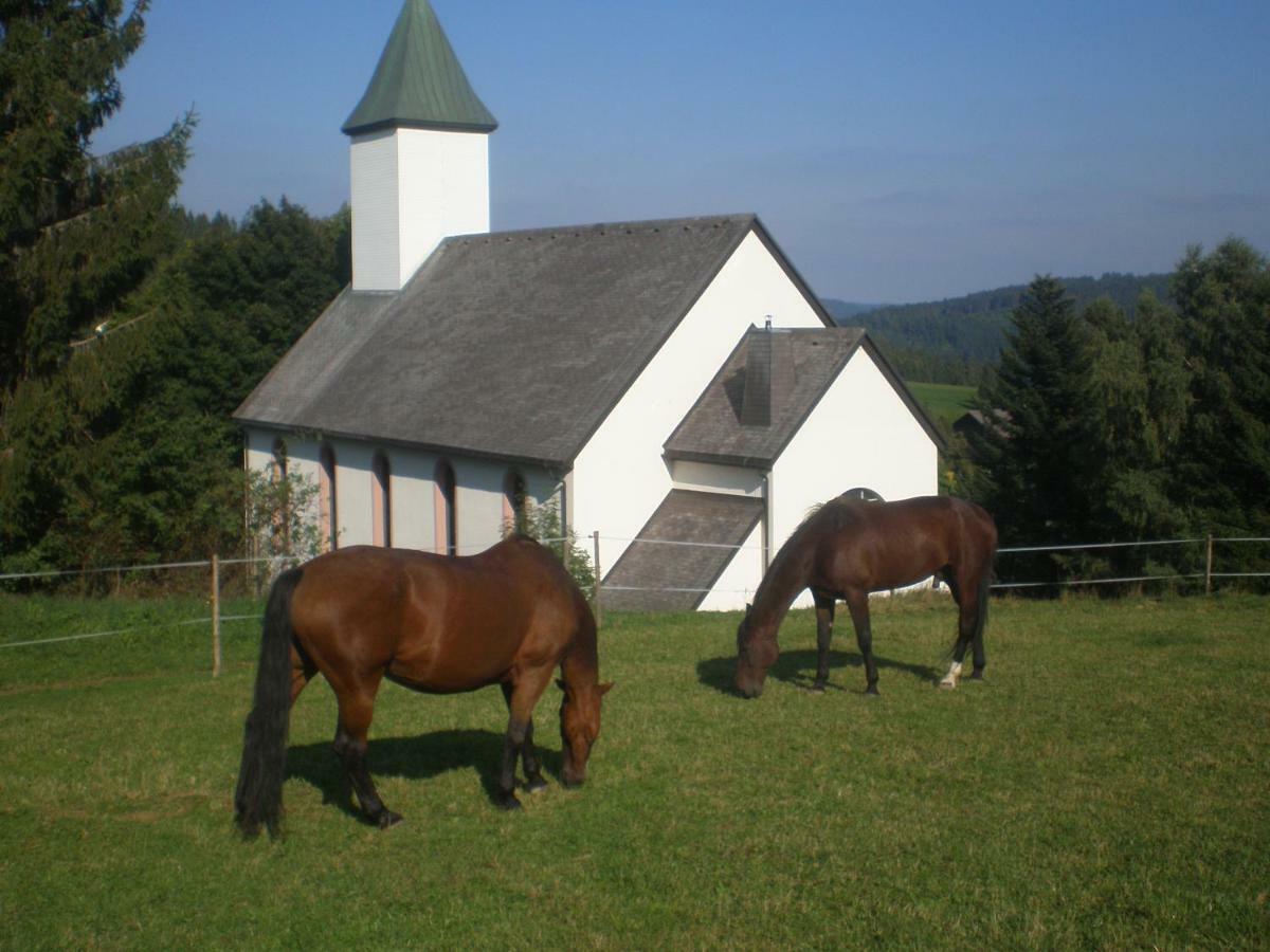 Dachsberg im SchwarzwaldHaus Ingeborg公寓 外观 照片