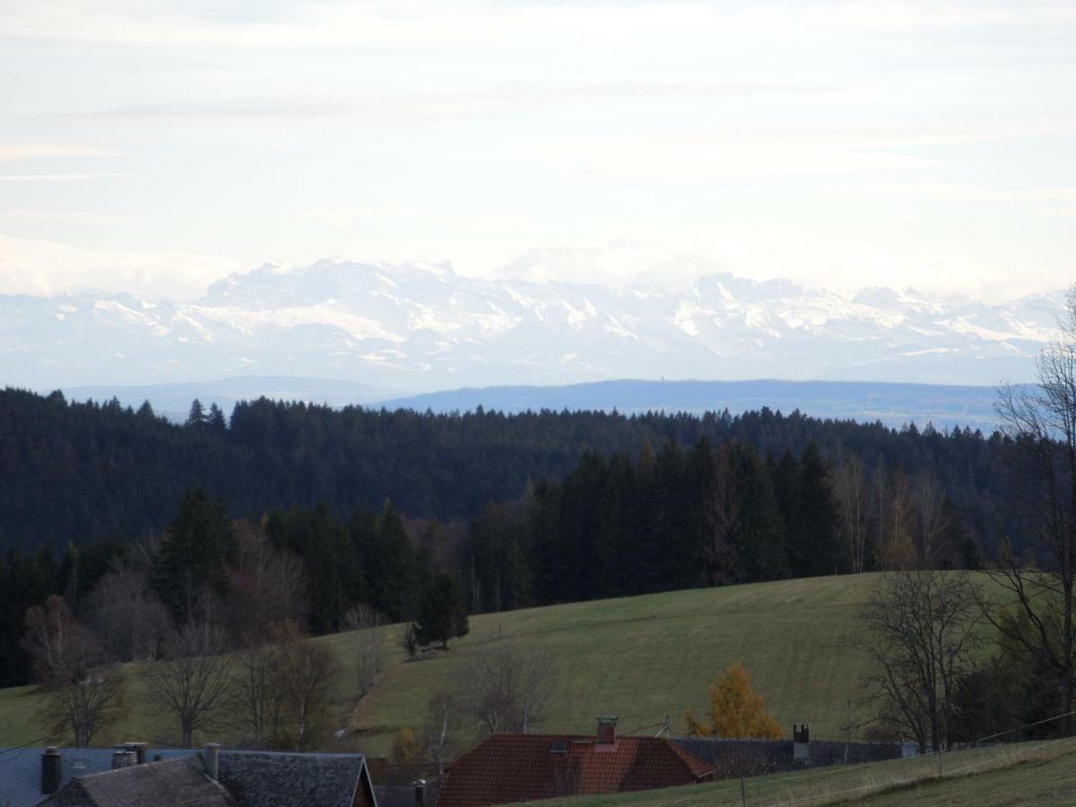 Dachsberg im SchwarzwaldHaus Ingeborg公寓 外观 照片