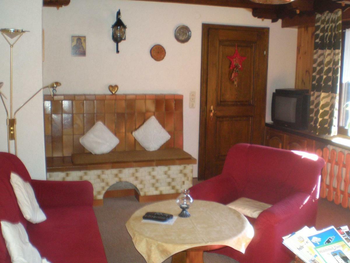 Dachsberg im SchwarzwaldHaus Ingeborg公寓 外观 照片