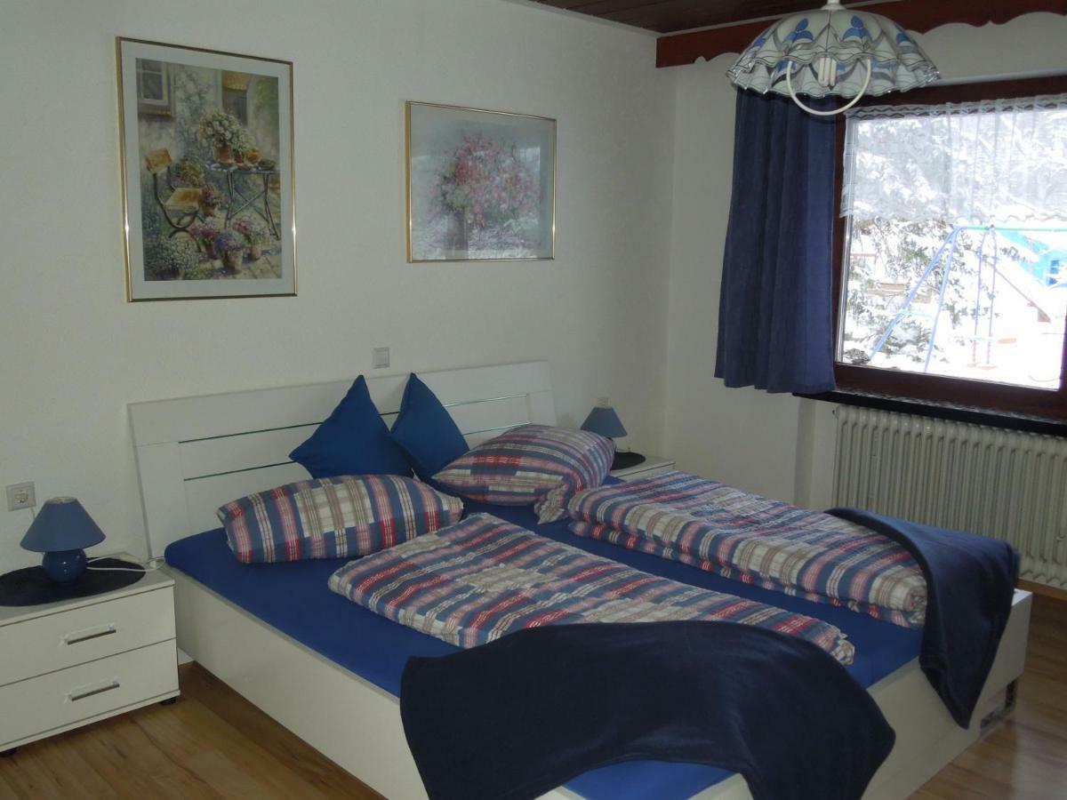 Dachsberg im SchwarzwaldHaus Ingeborg公寓 外观 照片