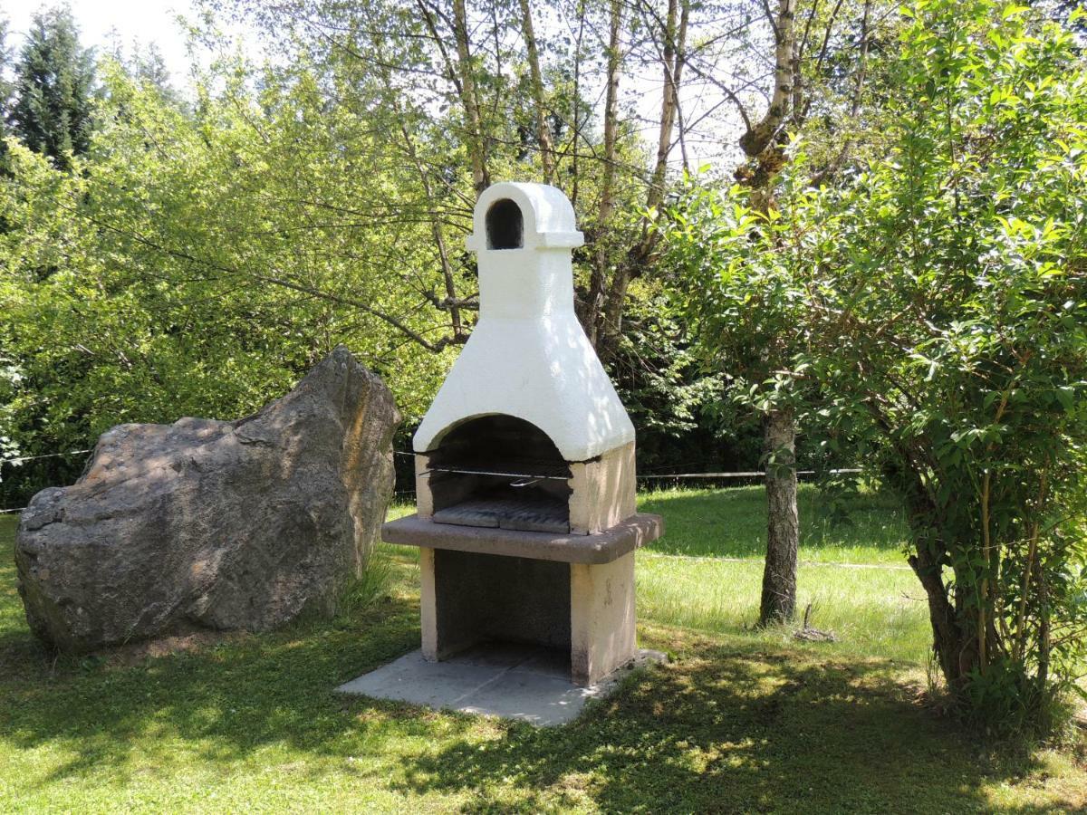 Dachsberg im SchwarzwaldHaus Ingeborg公寓 外观 照片