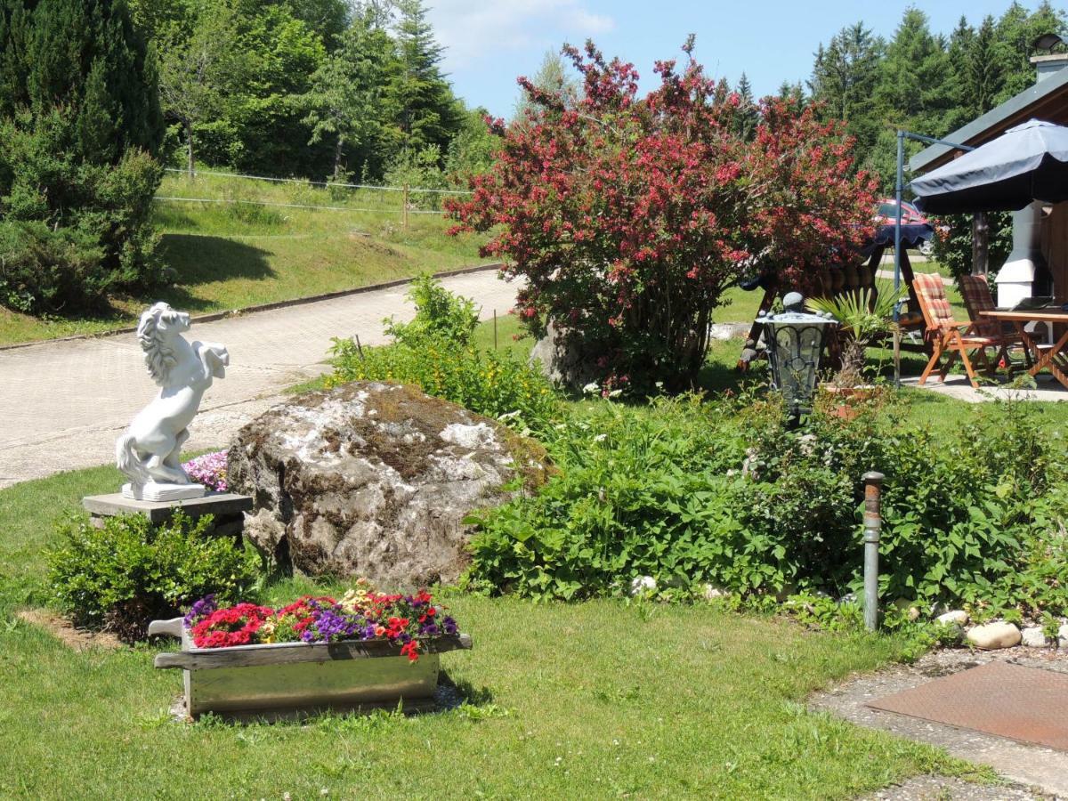 Dachsberg im SchwarzwaldHaus Ingeborg公寓 外观 照片